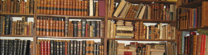 File:Antiquarian Bookstore.png